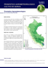 Vista preliminar de documento quinua_monitoreo_1feb22.pdf