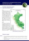 Vista preliminar de documento Palto_monitoreo_1feb22.pdf