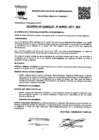 Vista preliminar de documento ac_38_2017_mdi