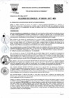 Vista preliminar de documento ac_30_2017
