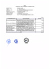 Vista preliminar de documento Anexo