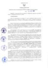 Vista preliminar de documento RER N° 100-2022