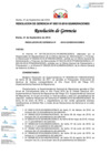 Vista preliminar de documento RG115-2018.pdf