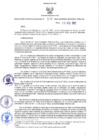 Vista preliminar de documento RER N° 102-2022