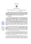 Vista preliminar de documento RGRI N° 012-2022