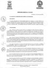 Vista preliminar de documento OrdMuni-193-2021