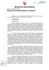 Vista preliminar de documento RS163-2019.pdf