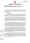 Vista preliminar de documento RS171-2019.pdf