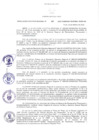 Vista preliminar de documento RER N° 81-2022-GR