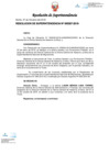 Vista preliminar de documento RS307-2019.pdf