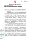 Vista preliminar de documento RS328-2019.pdf