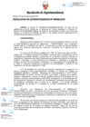 Vista preliminar de documento RS332-2019.pdf