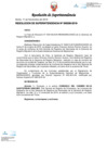 Vista preliminar de documento RS339-2019.pdf