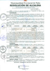 Vista preliminar de documento 667-2011-MPP/A