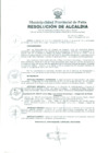 Vista preliminar de documento 726-2011-MPP/A