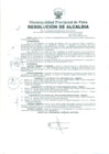 Vista preliminar de documento 753-2011-MPP/A