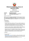 Vista preliminar de documento R010304172020.pdf
