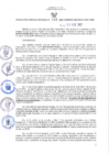 Vista preliminar de documento RGRDS N° 032-2022