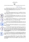 Vista preliminar de documento RGRDS N° 036-20222