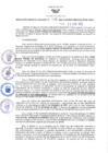 Vista preliminar de documento RGRDS N° 038-2022