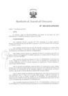 Vista preliminar de documento RAD N° 004-2010-APN-DIR .pdf