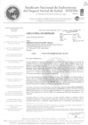 Vista preliminar de documento Seguro Social de Salud - Sindicato Nacional de Enfermeras del Seguro Social de Salud – SINESSS
