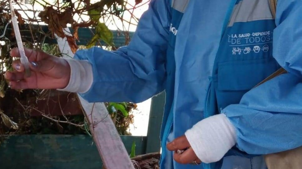 Minsa intensifica las acciones de control de dengue en Villa María del Triunfo