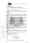 Vista preliminar de documento Resolución de Alcaldía N° 202-2021-MPH