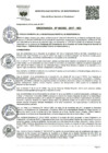 Vista preliminar de documento Ordenanza Muncipal