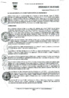Vista preliminar de documento Ordenanza municipal