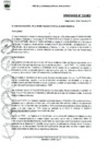 Vista preliminar de documento Ordenanza municipal