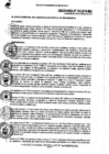 Vista preliminar de documento Ordenanza municipal
