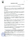 Vista preliminar de documento Ordenanza municipal