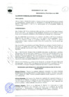 Vista preliminar de documento Ordenanza municipal