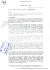 Vista preliminar de documento Ordenanza municipal