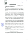 Vista preliminar de documento Ordenanza municipal