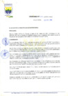 Vista preliminar de documento Ordenanza municipal