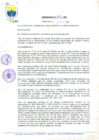 Vista preliminar de documento Ordenanza municipal