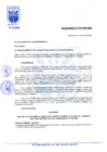 Vista preliminar de documento Ordenanza municipal
