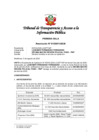 Vista preliminar de documento R010305132020.pdf