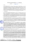 Vista preliminar de documento rgm22026