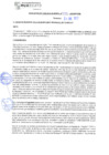 Vista preliminar de documento rgm22045