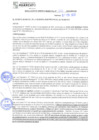 Vista preliminar de documento rgm22065