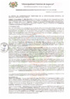 Vista preliminar de documento ROAT_507_2021_MDI.pdf