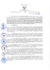 Vista preliminar de documento RES N°014-2022-GRI