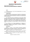 Vista preliminar de documento RS00369-2018.pdf