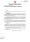 Vista preliminar de documento RS384-2018.pdf