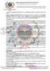 Vista preliminar de documento ROAT_509_2021_MDI.pdf