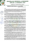 Vista preliminar de documento RGM-315-2020-GM-MPLC
