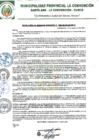 Vista preliminar de documento RGM-328-2020-GM-MPLC